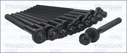 Varžtų kompl., cil. galvutės varžtai TRISCAN 98-1714