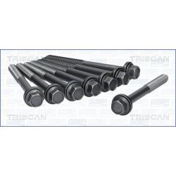 Varžtų kompl., cil. galvutės varžtai TRISCAN 98-1903