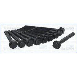 Varžtų kompl., cil. galvutės varžtai TRISCAN 98-2500