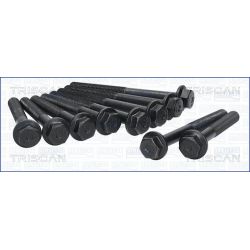 Varžtų kompl., cil. galvutės varžtai TRISCAN 98-2501