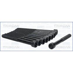 Varžtų kompl., cil. galvutės varžtai TRISCAN 98-2504