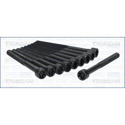 Varžtų kompl., cil. galvutės varžtai TRISCAN 98-2505