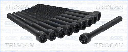 Varžtų kompl., cil. galvutės varžtai TRISCAN 98-2505