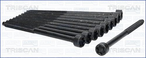 Varžtų kompl., cil. galvutės varžtai TRISCAN 98-2512