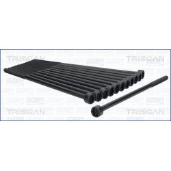 Varžtų kompl., cil. galvutės varžtai TRISCAN 98-2514