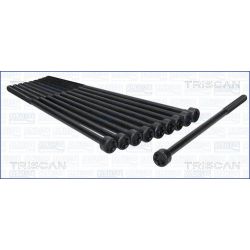 Varžtų kompl., cil. galvutės varžtai TRISCAN 98-2515