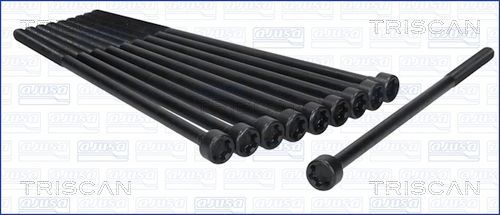 Varžtų kompl., cil. galvutės varžtai TRISCAN 98-2515