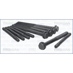 Varžtų kompl., cil. galvutės varžtai TRISCAN 98-2517