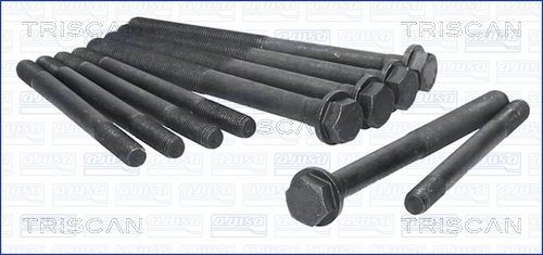 Varžtų kompl., cil. galvutės varžtai TRISCAN 98-2517