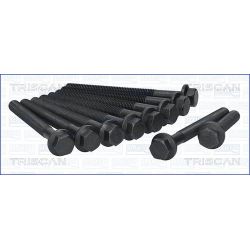 Varžtų kompl., cil. galvutės varžtai TRISCAN 98-2518