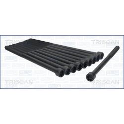 Varžtų kompl., cil. galvutės varžtai TRISCAN 98-2520