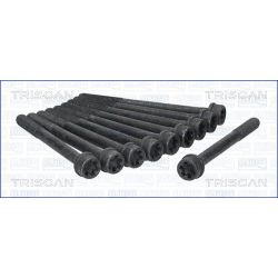 Varžtų kompl., cil. galvutės varžtai TRISCAN 98-2526