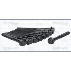 Varžtų kompl., cil. galvutės varžtai TRISCAN 98-2600