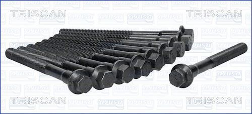 Varžtų kompl., cil. galvutės varžtai TRISCAN 98-2600