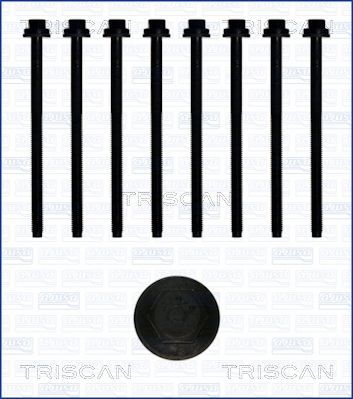 Varžtų kompl., cil. galvutės varžtai TRISCAN 98-2615
