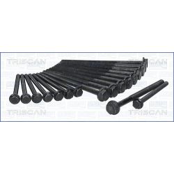 Varžtų kompl., cil. galvutės varžtai TRISCAN 98-2618