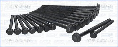 Varžtų kompl., cil. galvutės varžtai TRISCAN 98-2618