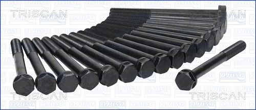 Varžtų kompl., cil. galvutės varžtai TRISCAN 98-3201