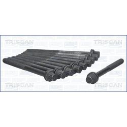 Varžtų kompl., cil. galvutės varžtai TRISCAN 98-3300