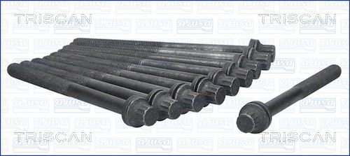 Varžtų kompl., cil. galvutės varžtai TRISCAN 98-3300