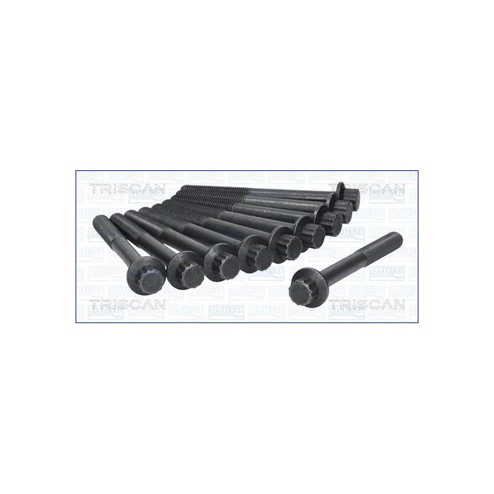 Varžtų kompl., cil. galvutės varžtai TRISCAN 98-4000