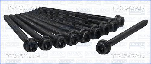 Varžtų kompl., cil. galvutės varžtai TRISCAN 98-4001