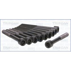 Varžtų kompl., cil. galvutės varžtai TRISCAN 98-4002