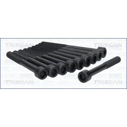 Varžtų kompl., cil. galvutės varžtai TRISCAN 98-4003