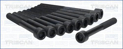 Varžtų kompl., cil. galvutės varžtai TRISCAN 98-4003