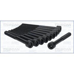 Varžtų kompl., cil. galvutės varžtai TRISCAN 98-4004