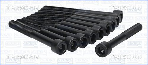 Varžtų kompl., cil. galvutės varžtai TRISCAN 98-4004