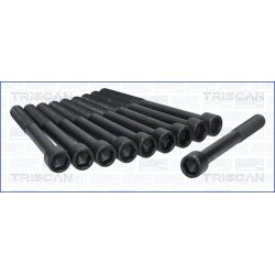Varžtų kompl., cil. galvutės varžtai TRISCAN 98-4005