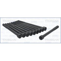 Varžtų kompl., cil. galvutės varžtai TRISCAN 98-4008
