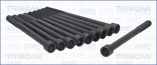 Varžtų kompl., cil. galvutės varžtai TRISCAN 98-4008