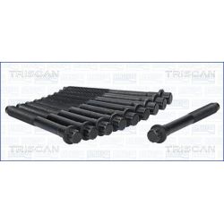 Varžtų kompl., cil. galvutės varžtai TRISCAN 98-4200