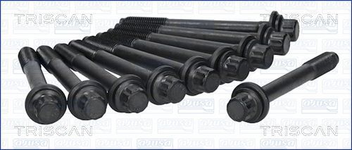 Varžtų kompl., cil. galvutės varžtai TRISCAN 98-4207