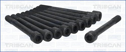 Varžtų kompl., cil. galvutės varžtai TRISCAN 98-4302