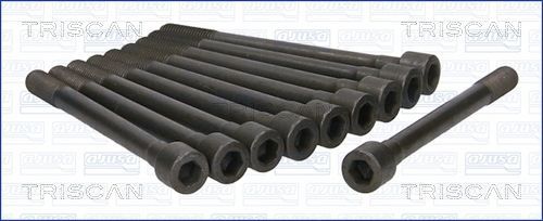 Varžtų kompl., cil. galvutės varžtai TRISCAN 98-4305