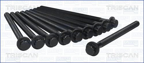 Varžtų kompl., cil. galvutės varžtai TRISCAN 98-4307