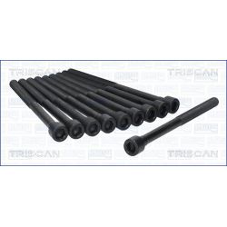 Varžtų kompl., cil. galvutės varžtai TRISCAN 98-4501