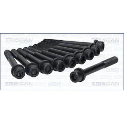 Varžtų kompl., cil. galvutės varžtai TRISCAN 98-5001
