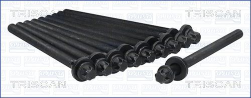 Varžtų kompl., cil. galvutės varžtai TRISCAN 98-5010