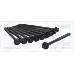 Varžtų kompl., cil. galvutės varžtai TRISCAN 98-5019