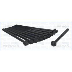 Varžtų kompl., cil. galvutės varžtai TRISCAN 98-5500