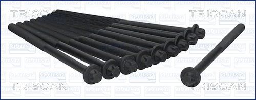 Varžtų kompl., cil. galvutės varžtai TRISCAN 98-5500