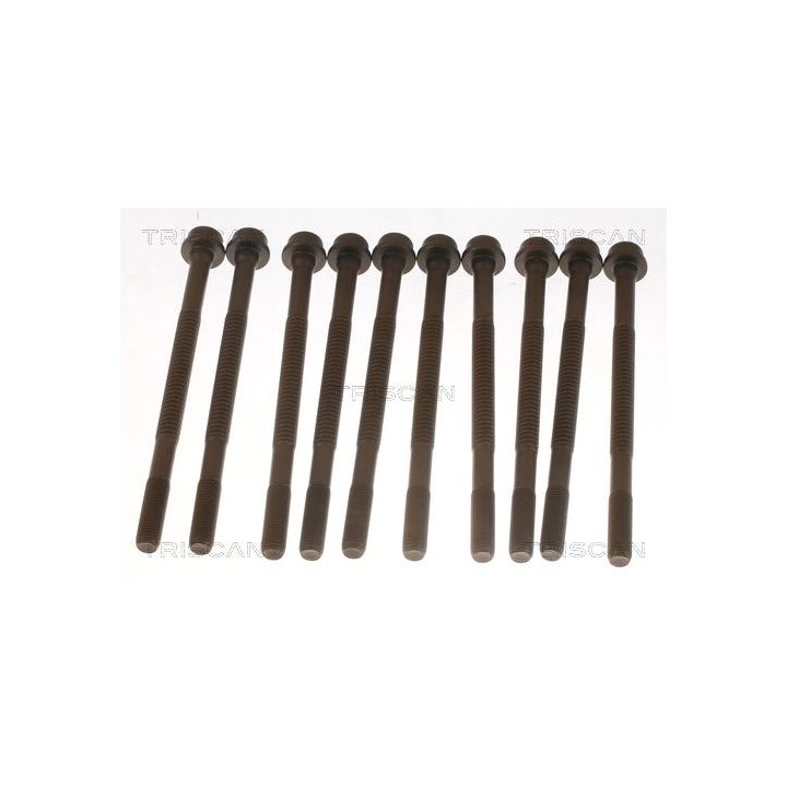 Varžtų kompl., cil. galvutės varžtai TRISCAN 98-5502