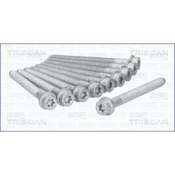 Varžtų kompl., cil. galvutės varžtai TRISCAN 98-5503