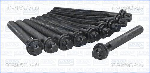 Varžtų kompl., cil. galvutės varžtai TRISCAN 98-5508