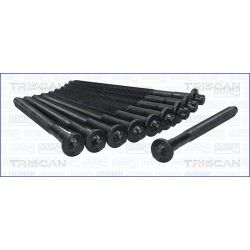 Varžtų kompl., cil. galvutės varžtai TRISCAN 98-5520