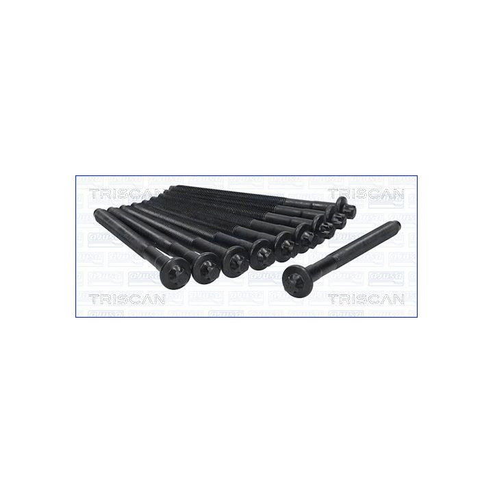 Varžtų kompl., cil. galvutės varžtai TRISCAN 98-5520